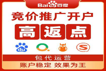 百度推广排名大揭秘：某电商平台的成功之路